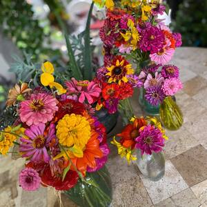 Fundraising Page: Karla Greenway